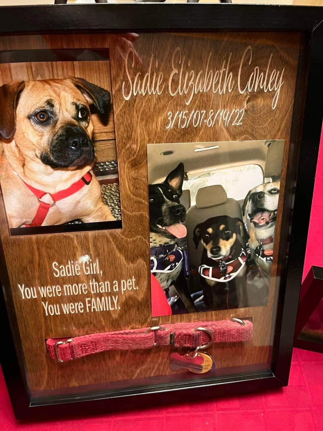 Dog sales shadow box