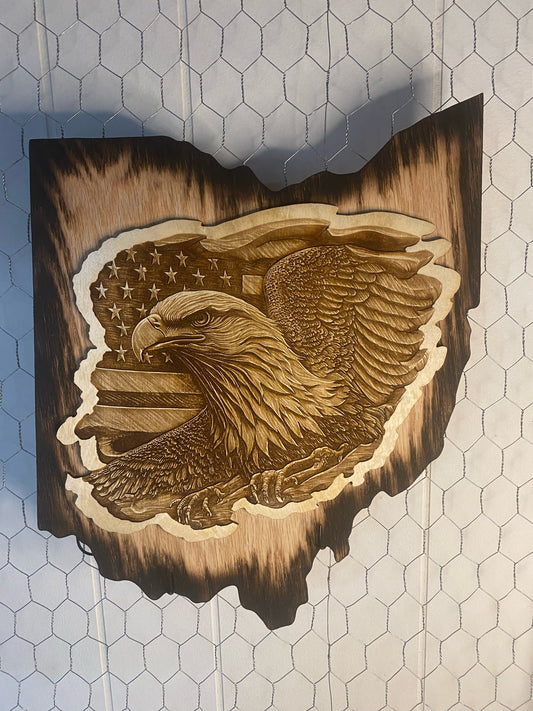 3D illusion Eagle on state background